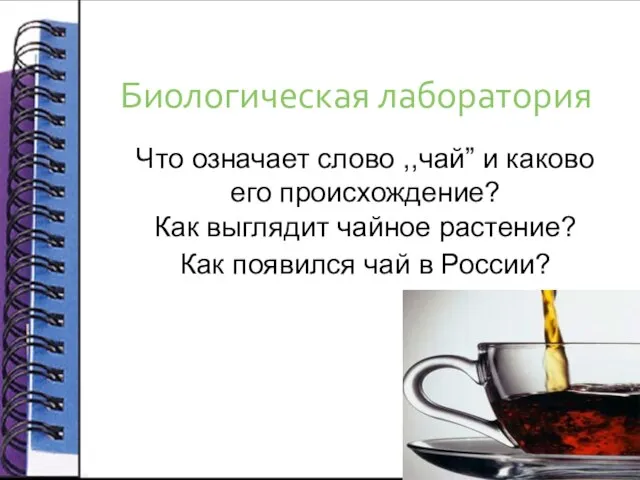 Биологическая лаборатория Что означает слово ,,чай” и каково его происхождение? Как выглядит