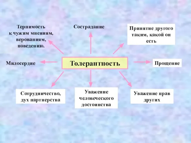 Толерантность Терпимость к чужим мнениям, верованиям, поведению. Сострадание Принятие другого таким, какой