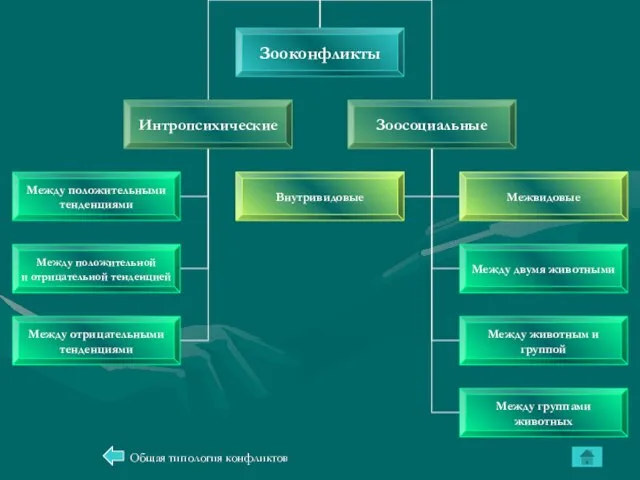 Общая типология конфликтов