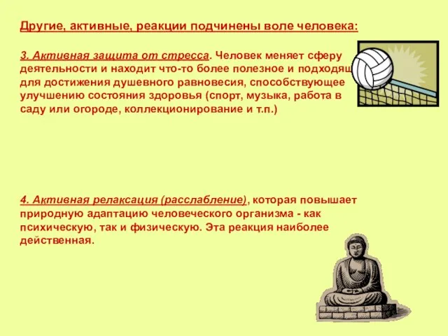 Другие, активные, реакции подчинены воле человека: 3. Активная защита от стресса. Человек