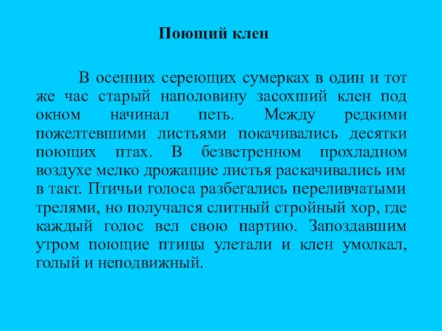 Поющий клен В осенних сереющих сумерках в один и тот же час