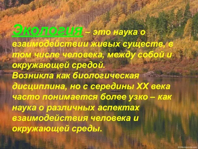 Экология – это наука о взаимодействии живых существ, в том числе человека,