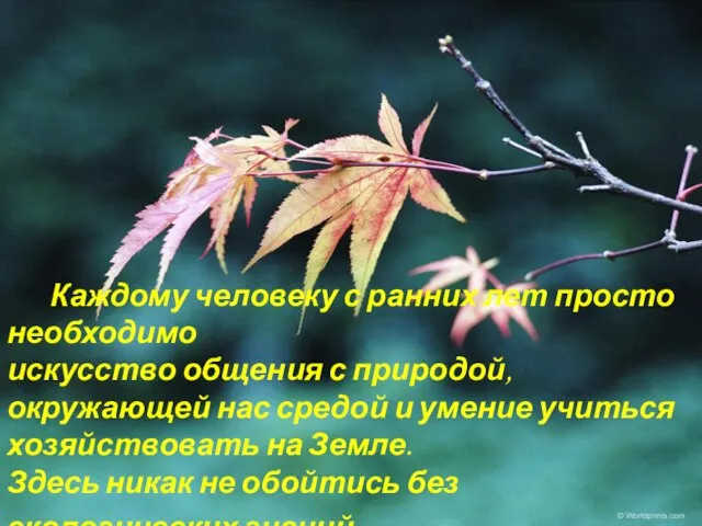 Каждому человеку с ранних лет просто необходимо искусство общения с природой, окружающей