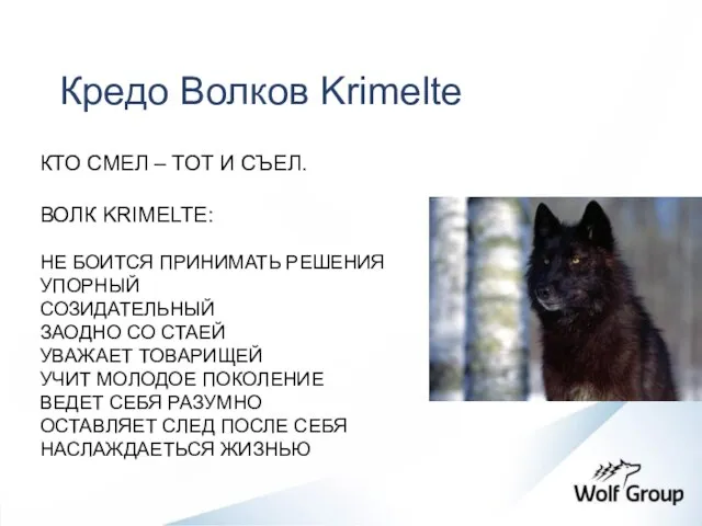 Кредо Волков Krimelte КТО СМЕЛ – ТОТ И СЪЕЛ. ВОЛК KRIMELTE: НЕ