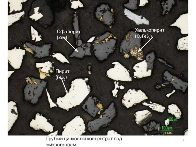 Грубый цинковый концентрат под микроскопом Сфалерит (ZnS) Халькопирит (CuFeS2) Пирит (FeS2) 0,1 мм