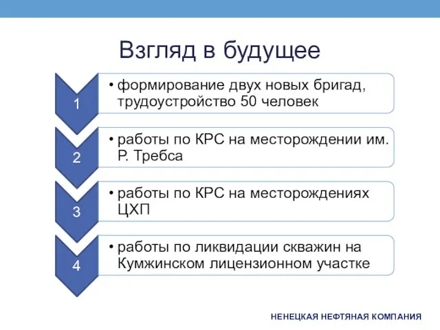 Взгляд в будущее НЕНЕЦКАЯ НЕФТЯНАЯ КОМПАНИЯ