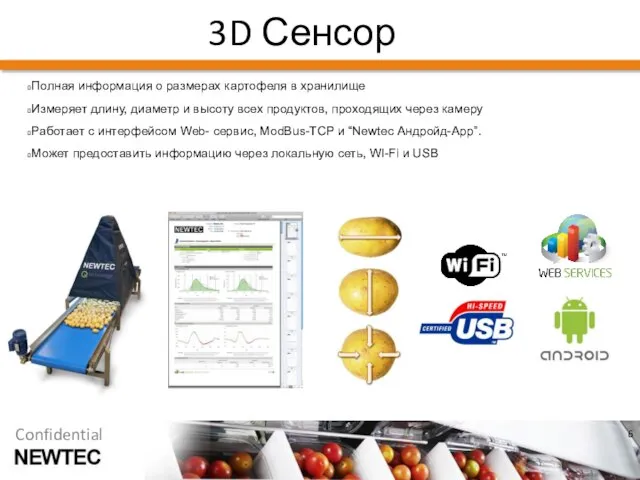 3D Сенсор Полная информация о размерах картофеля в хранилище Измеряет длину, диаметр