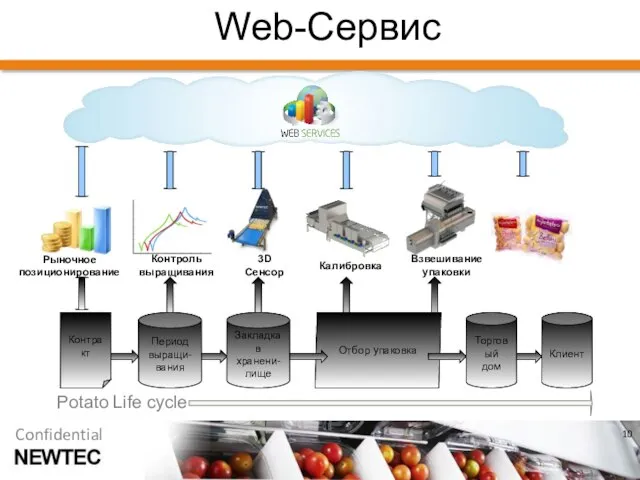 Web-Сервис Закладка в хранени- лище Отбор упаковка Период выращи- вания Торговый дом