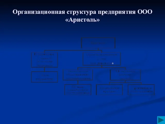 Организационная структура предприятия ООО «Аристоль»