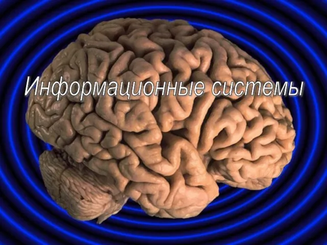Информационные системы
