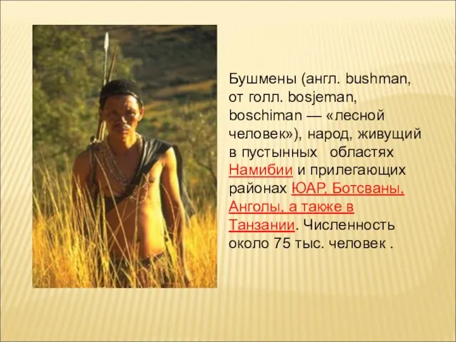 Бушмены (англ. bushman, от голл. bosjeman, boschiman — «лесной человек»), народ, живущий