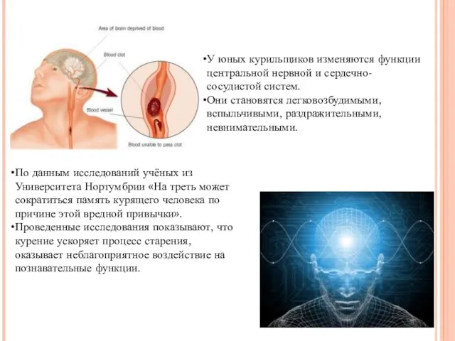 У юных курильщиков изменяются функции центральной нервной и сердечно-сосудистой систем. Они становятся