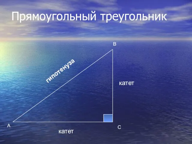 Прямоугольный треугольник В А С гипотенуза катет катет