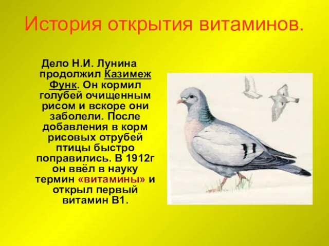 История открытия витаминов. Дело Н.И. Лунина продолжил Казимеж Функ. Он кормил голубей