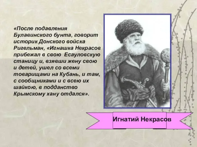 «После подавления Булавинского бунта, говорит историк Донского войска Ригельман, «Игнашка Некрасов прибежал