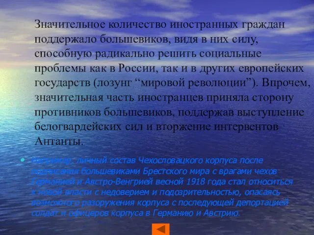 Значительное количество иностранных граждан поддержало большевиков, видя в них силу, способную радикально