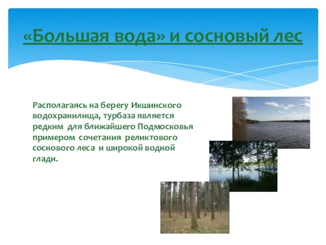 Располагаясь на берегу Икшинского водохранилища, турбаза является редким для ближайшего Подмосковья примером