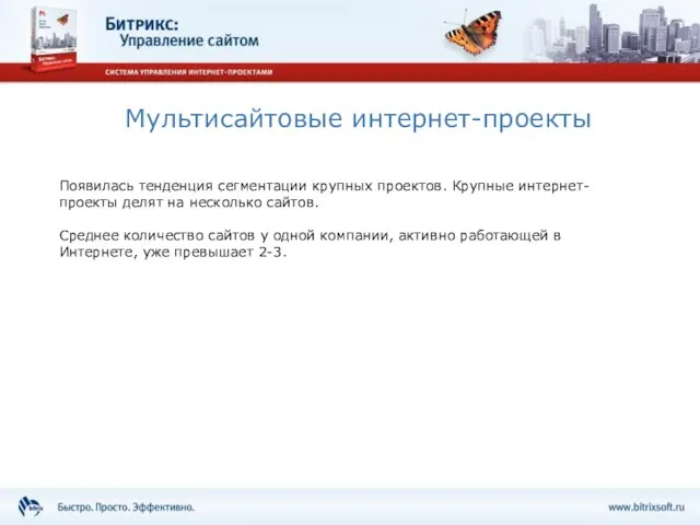 Мультисайтовые интернет-проекты Появилась тенденция сегментации крупных проектов. Крупные интернет-проекты делят на несколько