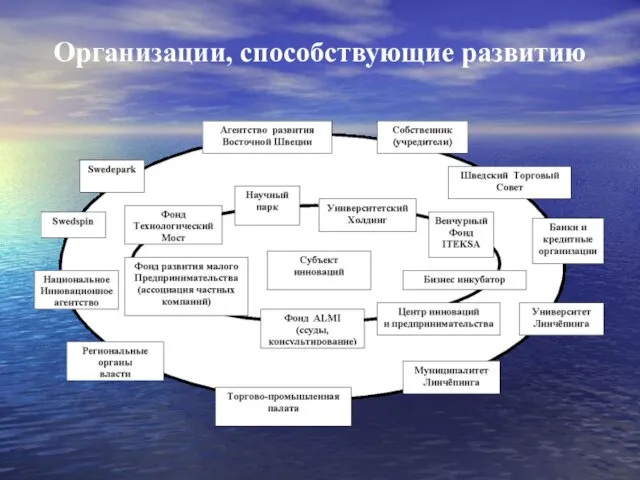 Организации, способствующие развитию