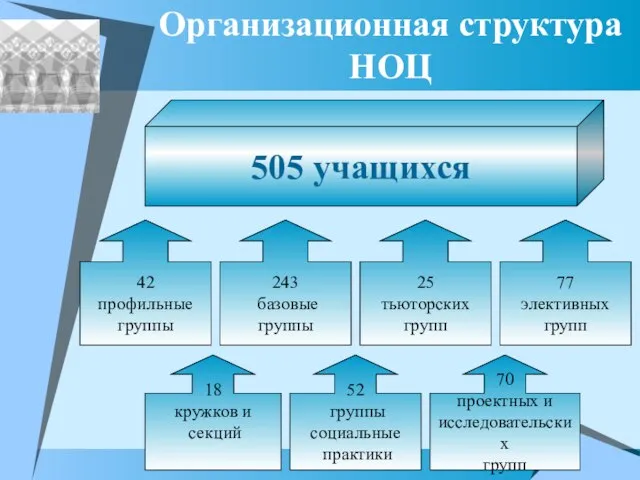 Организационная структура НОЦ 505 учащихся 42 профильные группы 243 базовые группы 77