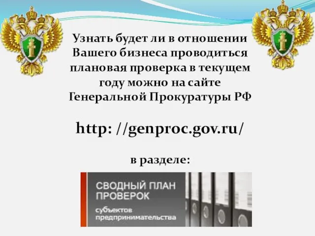 Узнать будет ли в отношении Вашего бизнеса проводиться плановая проверка в текущем