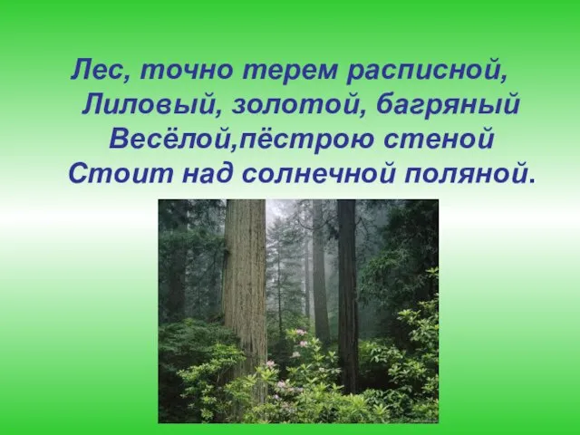 Лес, точно терем расписной, Лиловый, золотой, багряный Весёлой,пёстрою стеной Стоит над солнечной поляной.