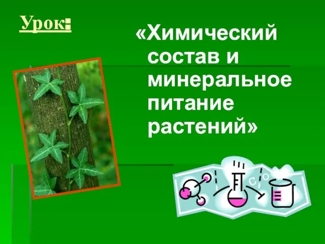 Урок: «Химический состав и минеральное питание растений»