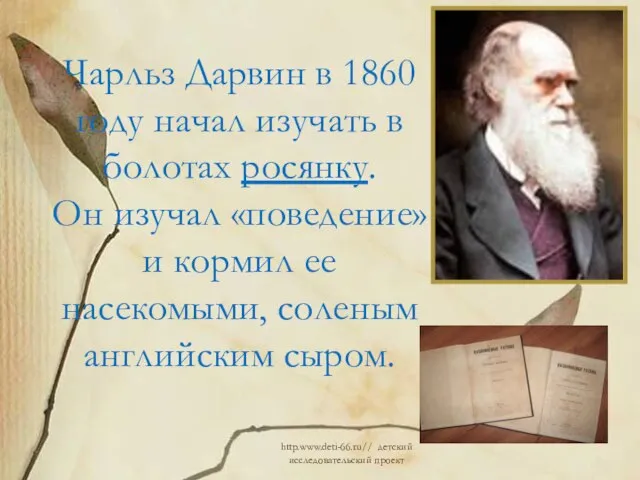 Чарльз Дарвин в 1860 году начал изучать в болотах росянку. Он изучал