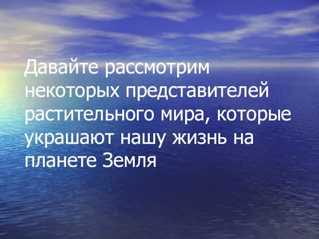 Давайте рассмотрим некоторых представителей растительного мира, которые украшают нашу жизнь на планете Земля