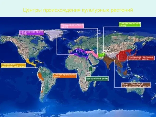 Центры происхождения культурных растений