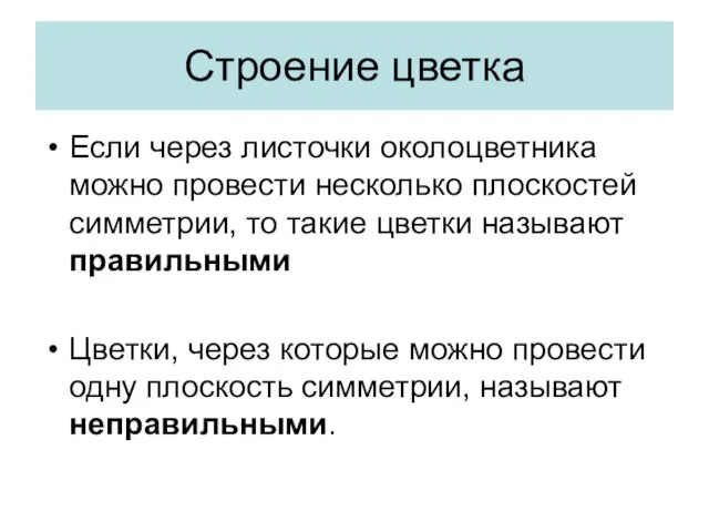 Строение цветка Если через листочки околоцветника можно провести несколько плоскостей симметрии, то