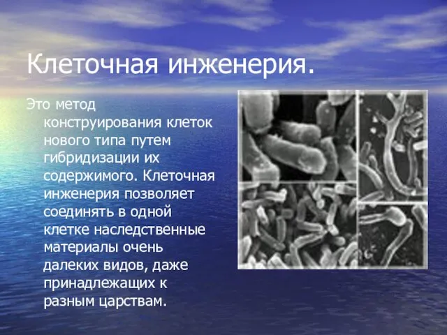 Клеточная инженерия. Это метод конструирования клеток нового типа путем гибридизации их содержимого.