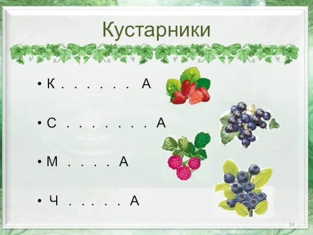 Кустарники К . . . . . . А С . .