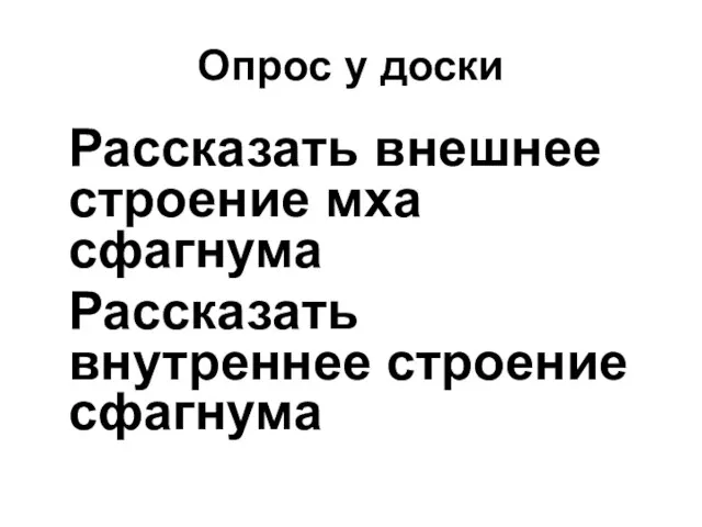 Опрос у доски Рассказать внешнее строение мха сфагнума Рассказать внутреннее строение сфагнума