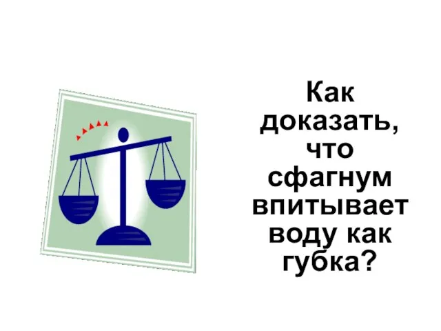 Как доказать, что сфагнум впитывает воду как губка?