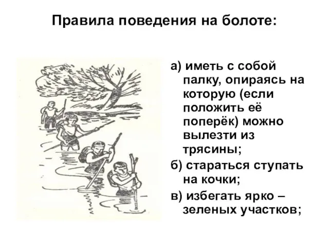 Правила поведения на болоте: а) иметь с собой палку, опираясь на которую