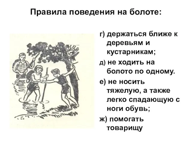 Правила поведения на болоте: г) держаться ближе к деревьям и кустарникам; д)