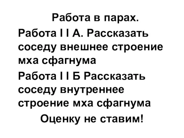 Работа в парах. Работа I I А. Рассказать соседу внешнее строение мха