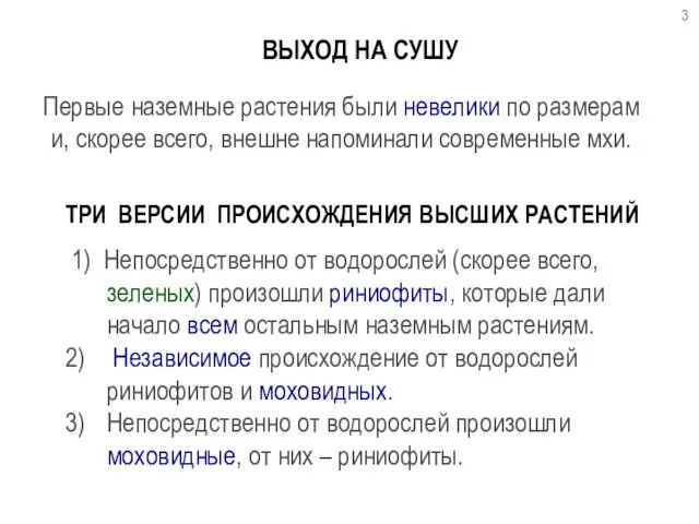 ВЫХОД НА СУШУ Первые наземные растения были невелики по размерам и, скорее