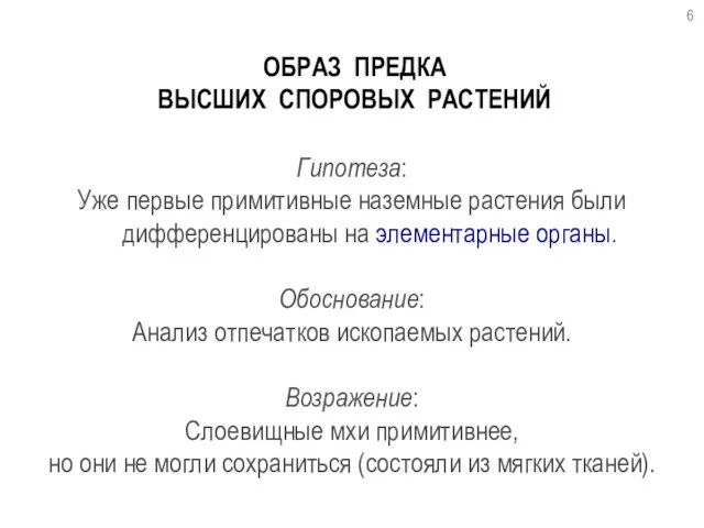 ОБРАЗ ПРЕДКА ВЫСШИХ СПОРОВЫХ РАСТЕНИЙ Гипотеза: Уже первые примитивные наземные растения были