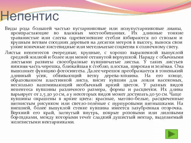 Непентис Виды рода большей частью кустарниковые или полукустарниковые лианы, произрастающие во влажных