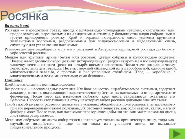 Росянка Внешний вид Росянки — многолетние травы, иногда с клубневидно утолщённым стеблем,