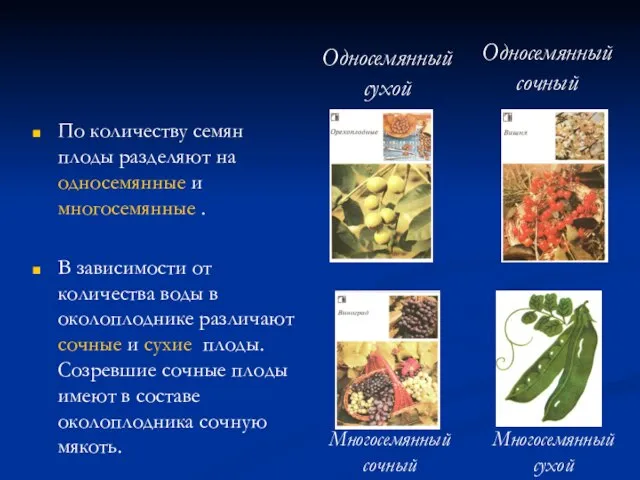 По количеству семян плоды разделяют на односемянные и многосемянные . В зависимости