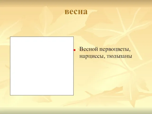 весна Весной первоцветы, нарциссы, тюльпаны