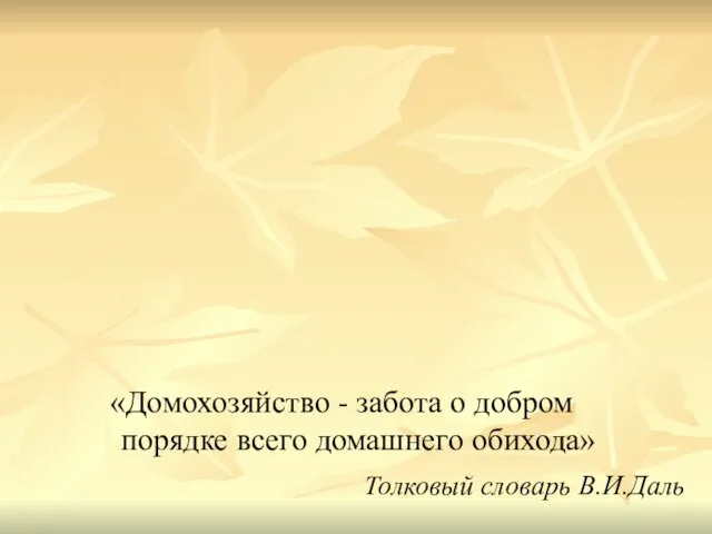 «Домохозяйство - забота о добром порядке всего домашнего обихода» Толковый словарь В.И.Даль