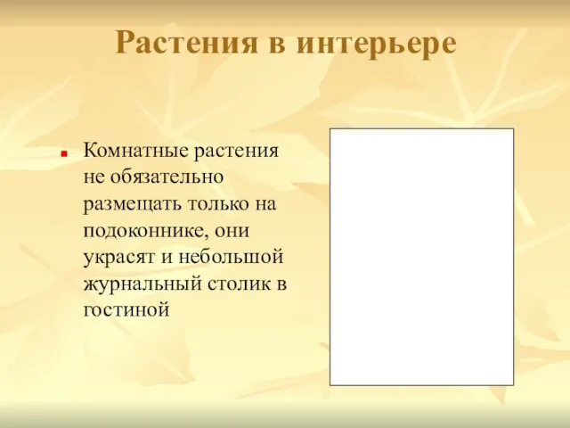 Растения в интерьере Комнатные растения не обязательно размещать только на подоконнике, они