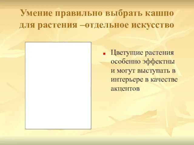 Умение правильно выбрать кашпо для растения –отдельное искусство Цветущие растения особенно эффектны