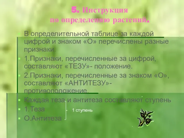 5. Инструкция по определению растений. В определительной таблице за каждой цифрой и