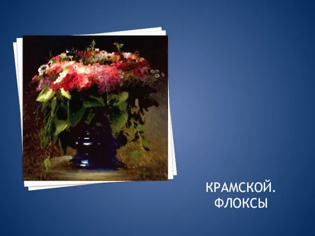 КРАМСКОЙ. ФЛОКСЫ