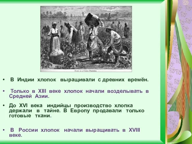 До XVI века индийцы производство хлопка держали в тайне. В Европу продавали